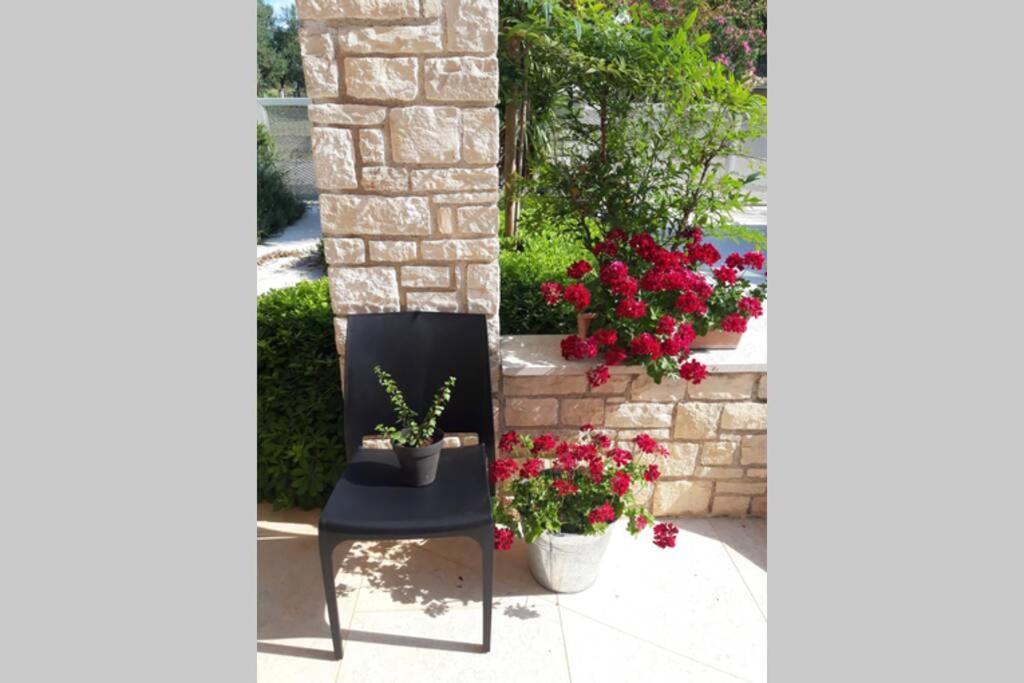 For Families Only - Casa Nora Novigrad Βίλα Novigrad Istria Εξωτερικό φωτογραφία